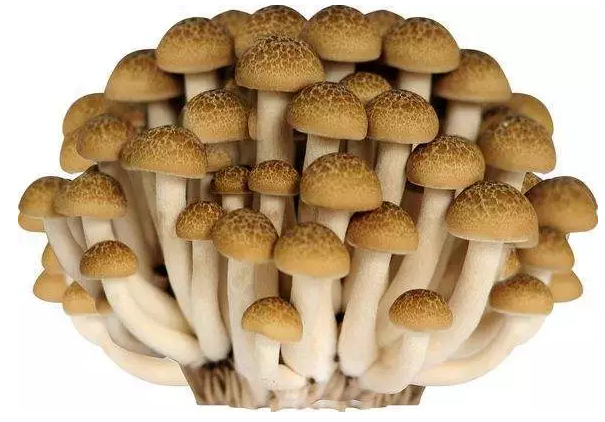 http://www.cgllwq.cn/ewebeditor/uploadfile/20170914091421667001.png